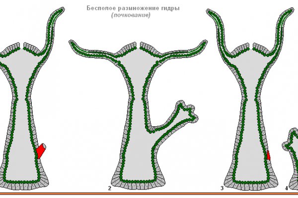 Кракен дарк сайт