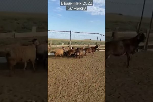 Ссылка на кракен онион