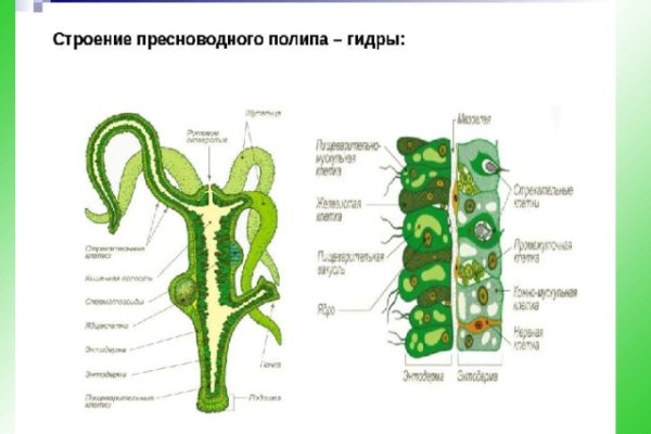 Кракен сайт магазин kraken clear com