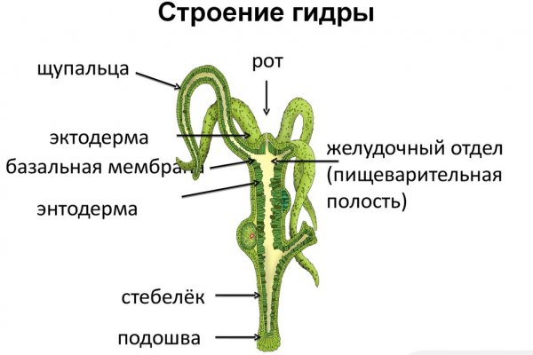 Кракен сайт регистрация