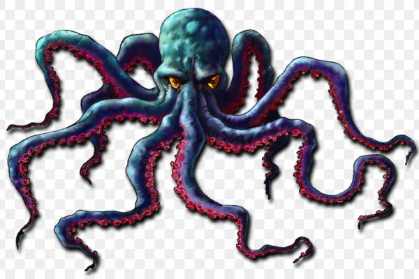 Kraken17at